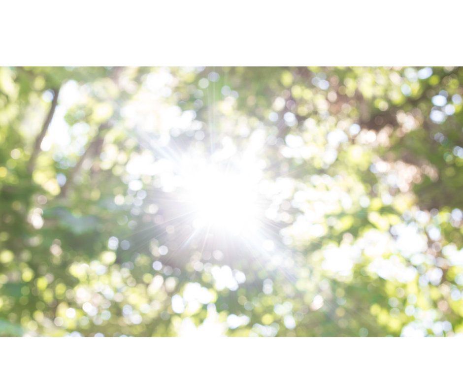 HSPさんが“安心してビジネスを続ける”ための3つの心の整え方｜食とメンタルの関係